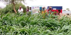 People of Thar are happy to get Green Farm