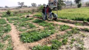 A green farm being developed