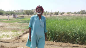 A farmer in the green farms