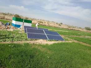 green farm with solar pump