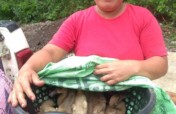 Duck-raising Project for Disadvantaged Women
