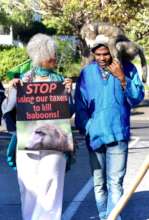 so much welcome support for baboons