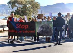 "No to Killing" - thousands supported!