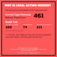 An alarming death toll