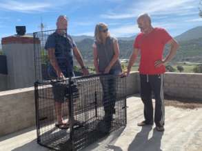 New trap-cage for injured baboons and wildlife
