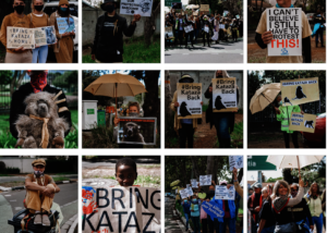 So many people voiced their concerns!