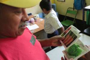 Seeds for healthy food production