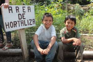 Schools Nutrition Garden