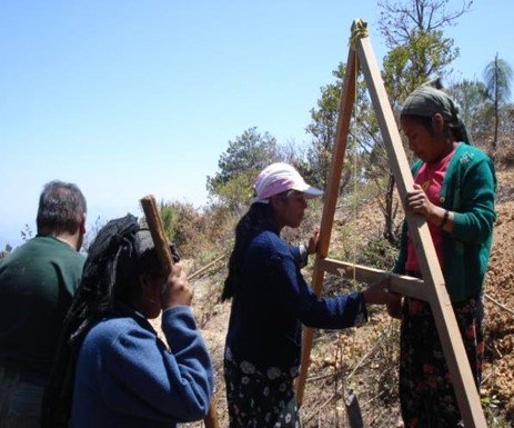 Indigenous women united for reconstruction.