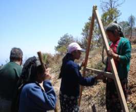 practical training for soil leveling
