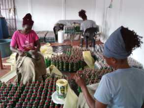 Bottling Clean Girl soap