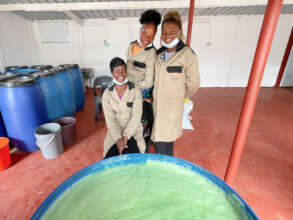 Making Clean Girl soap in Zimbabwe