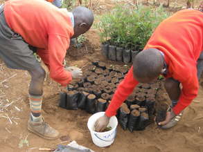 PLANT 19,500 TREES IN 6 SCHOOLS IN MOLO KENYA