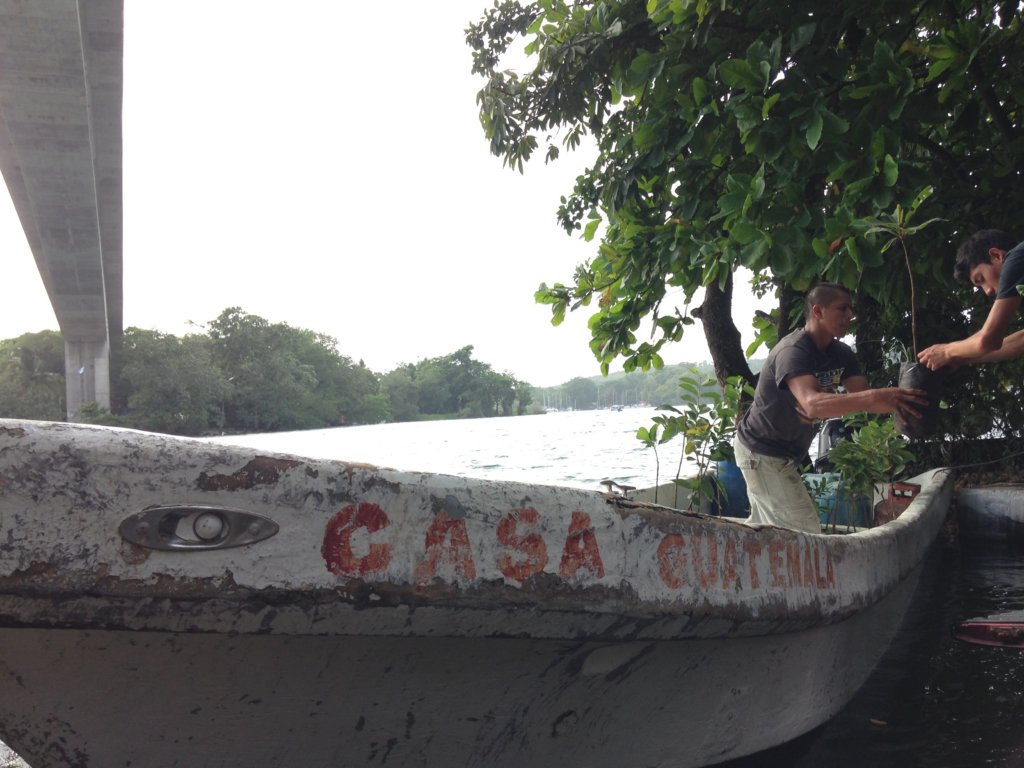 Feed Vulnerable Guatemalan Kids with Fruit Trees