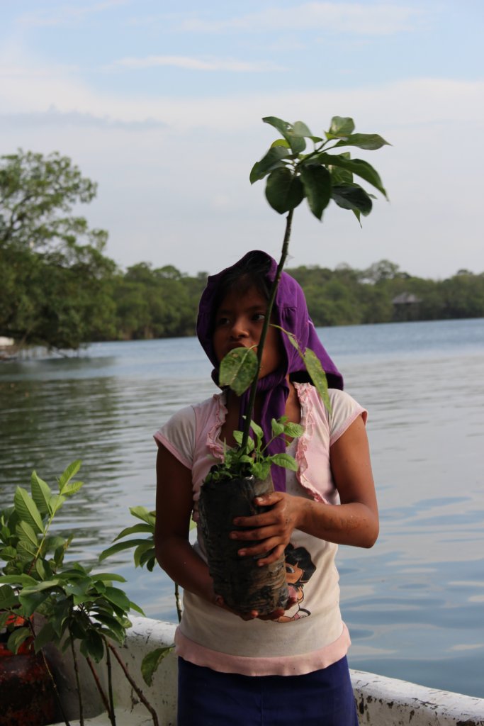 Feed Vulnerable Guatemalan Kids with Fruit Trees
