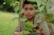 Feed Vulnerable Guatemalan Kids with Fruit Trees