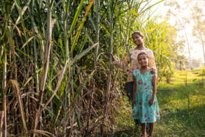 Our sugar cane, like our kids, growing strong!