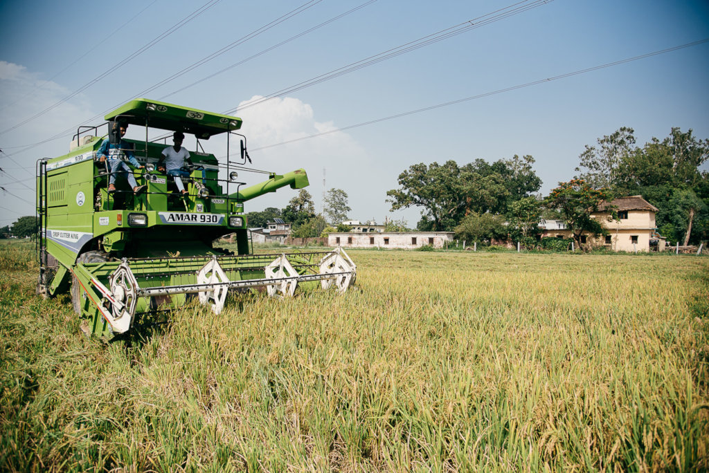 Help Orphans In India (GSAM General Fund)