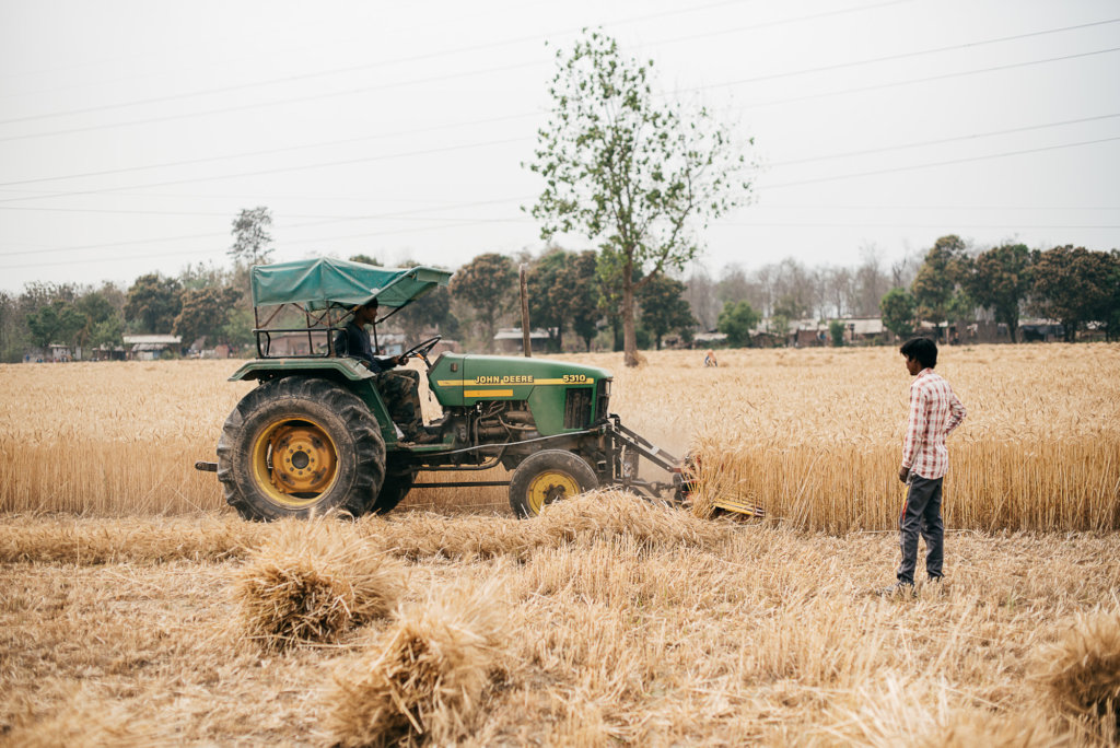 Help Orphans In India (GSAM General Fund)