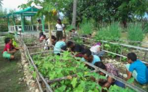 Farming training for the youth