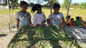 Agriculture Trainings for SOLS students