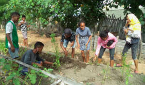 Farming training for the youth