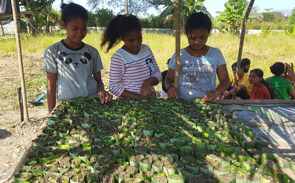 Creating livelihoods for youth in Timor-Leste