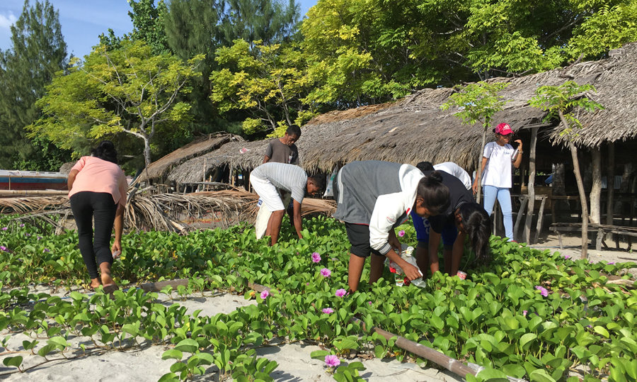 Creating livelihoods for youth in Timor-Leste