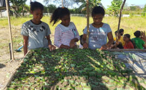 Agriculture - learning by doing