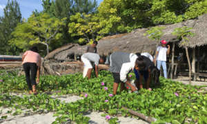 Beach cleanup - youth caring for their island