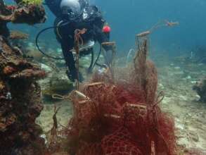 A diver carefully removing tangled nets