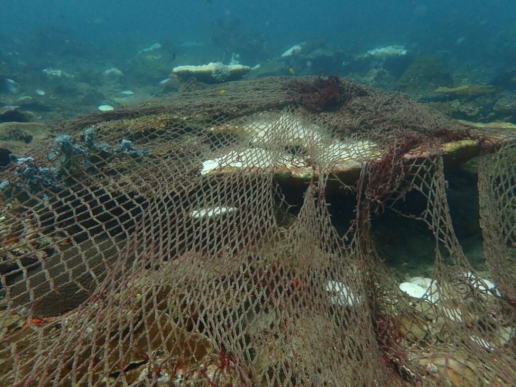 A portion of the ghost net covering a coral reef