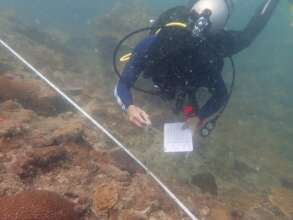 An EcoDiver conducting the Reef Check survey