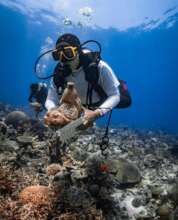 An EcoDiver picking up rubbish at a survey site