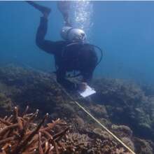 An EcoDiver recording data