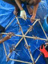 Attaching coral fragments to the reef stars