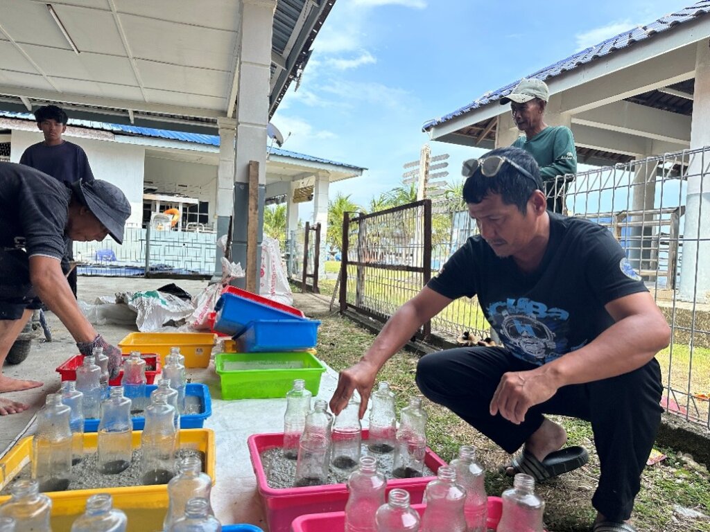 Construction of reef rehabilitation structures
