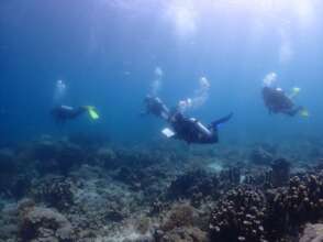 Reef resilience surveys in Tun Sakaran Marine Park