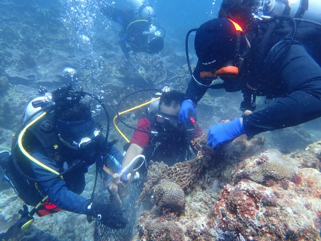 Divers working together to remove an entangled net