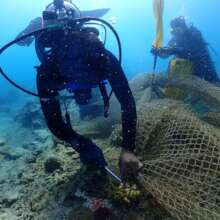 TMCG members working together to remove the nets