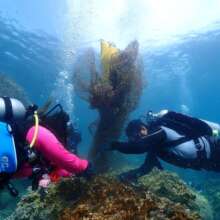Ghost nets stuck and entangled on reefs