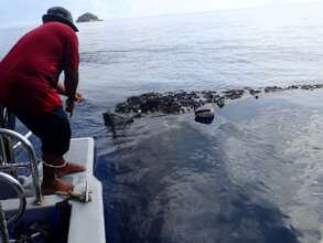 Retrieved ghost nets brought to the surface