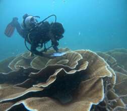 New EcoDiver assessing reef health conditions