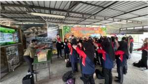 An activity at the Marine Wildlife Sanctuary