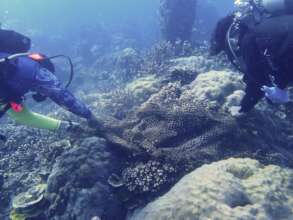 Removing ghost nets carefully to not break corals