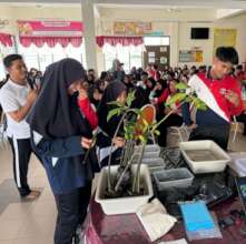 Sample demonstration on mangrove seedling planting