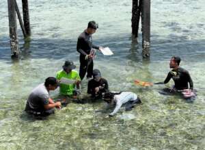 Seagrass monitoring activity