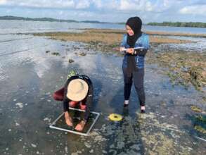 Seagrass monitoring at a site in Mersing, Johor