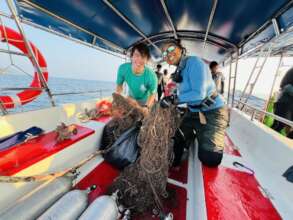 Some of the nets that were removed