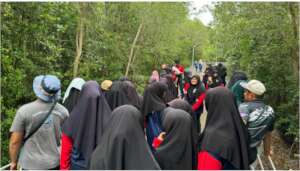 Students explore a mangrove ecosystem